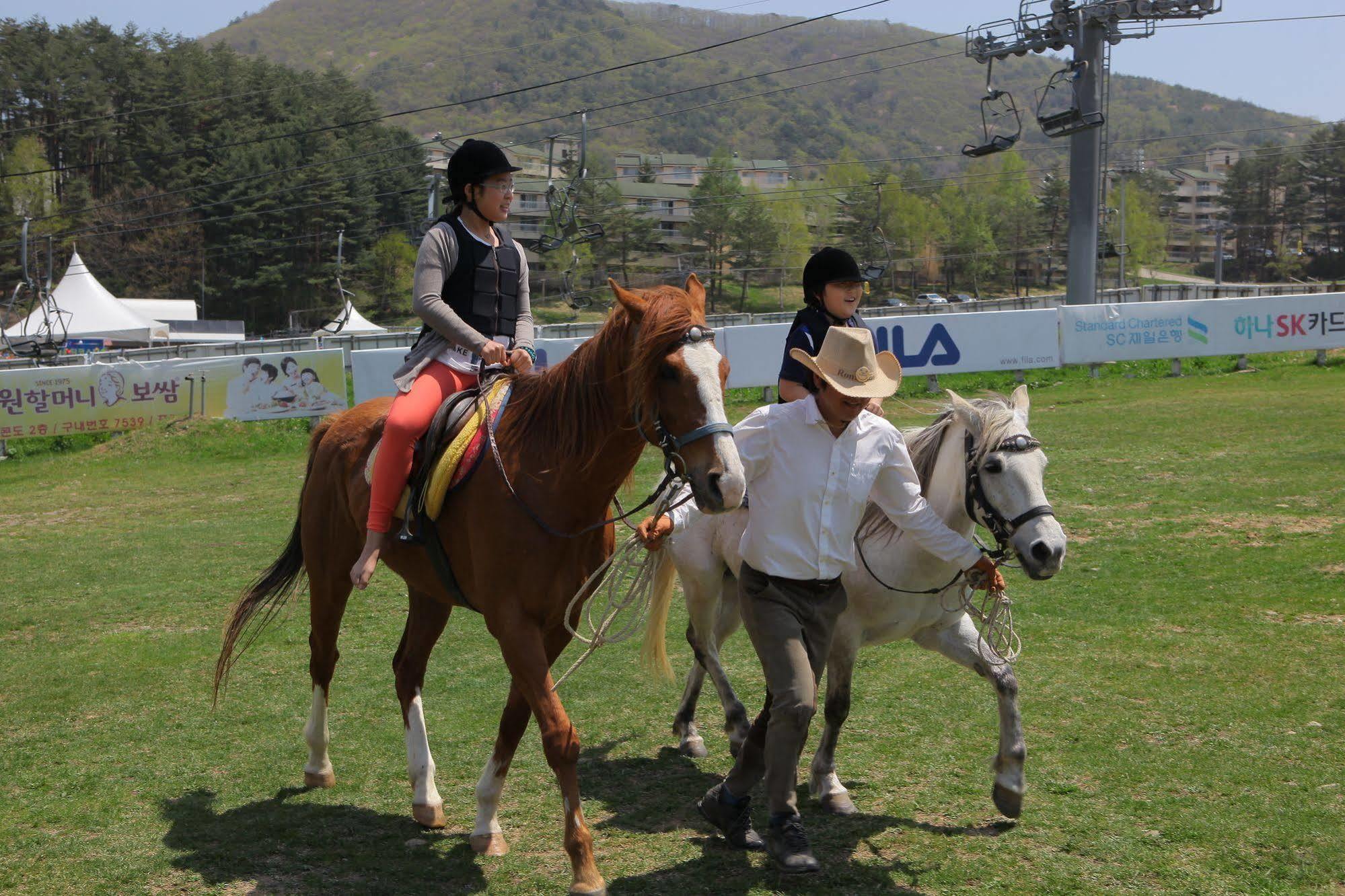 פיאונגצ'אנג Yongpyong Resort Villa Condominium מראה חיצוני תמונה
